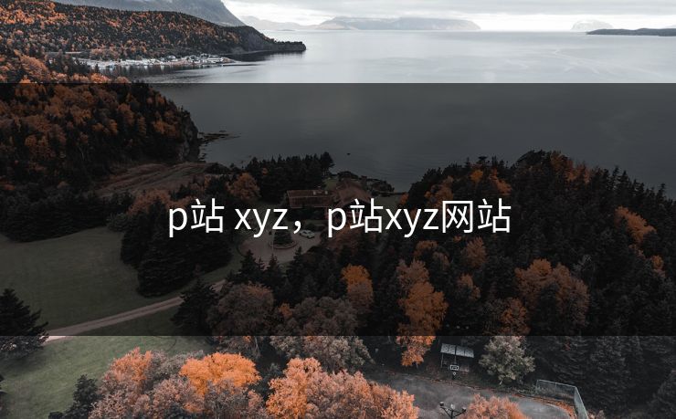 p站 xyz，p站xyz网站