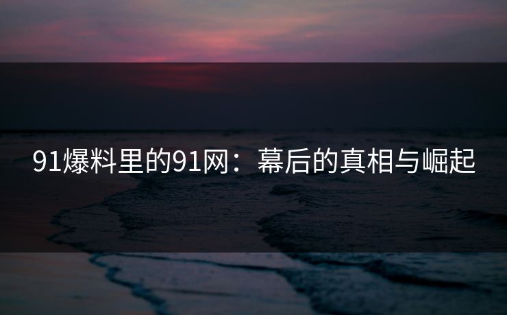 91爆料里的91网:幕后的真相与崛起 91爆料里的91网:幕后的真相与崛起