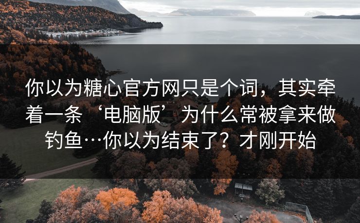 你以为糖心官方网只是个词，其实牵着一条‘电脑版’为什么常被拿来做钓鱼…你以为结束了？才刚开始