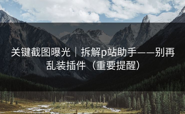 关键截图曝光｜拆解p站助手——别再乱装插件（重要提醒）
